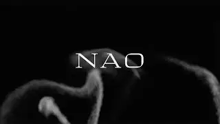 Martin Kohlstedt - NAO