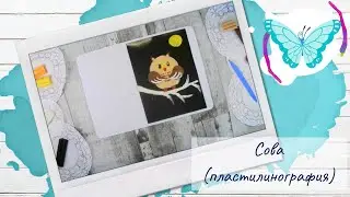 Сова (пластилинография)