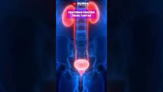 Causes of Incomplete Urination 