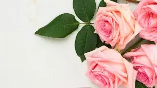 Құрбыны құттықтау