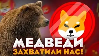 ШИБА! Медведи захватили рынок! Что будет дальше?!