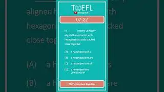 TOEFL Grammar Practice 