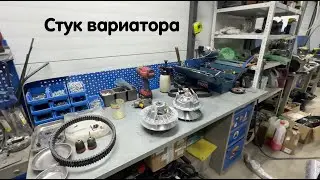 Stels Guepard стук при трогании, стук при остановке. Щелчки вариатора. В чем причина ? Смотрите !