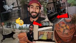 Mini Zoo me Birds k Liye New Pots aa gye/New Pots For Birds in Mini Zoo #ZahidZHB 😂🐃🦛🐊🐅🦏🐄🦃🦈🦘🐅🐈‍⬛🦜🦚🕊