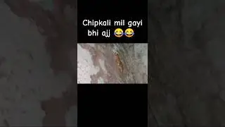 dariyo mat karti bhi 😂😂🙏🏻 #funny #vlog #viral #shortvideo #funny