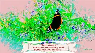 Shostakovich Romance from Gadfly Suite   Butterflies and Flowers