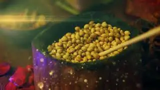 spice magic - секреты специй