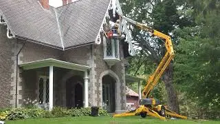 Bay Window Honeybee Colony - Roof Tear Off