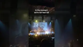 Birdy - Wings live at my EartH show a few weeks ago 🕊️ #shorts