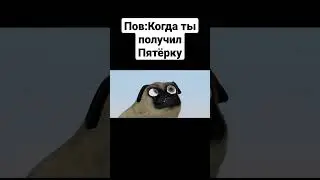 Мем 