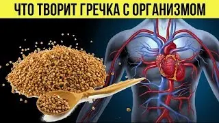 Вот Почему вы должны включить Гречку в свой рацион питания Как влияет гречневая каша на Организм