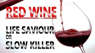24 BENEFITS OF RED WINE