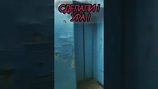 Где Деньги Зин? #балаково #shorts