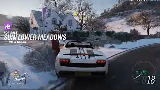 FORZA HORIZON 4