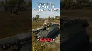 КУСТОВЫЕ СИДУНЫ WARTHUNDER | 3840/4000✅ | 