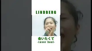 LINDBERG「会いたくて-Lover Soul-」(ショート) #shorts