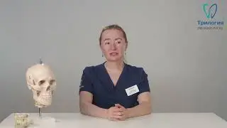 Ортодонтия. Сапфировые брекеты. Преимущества лечения на сапфировых брекетах