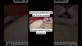 Я когда встал с кровати#мем#жиза#прикол#кот#shorts