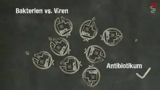 Wenn Zombies krank machen - Unterschied zwischen Bakterien und Viren