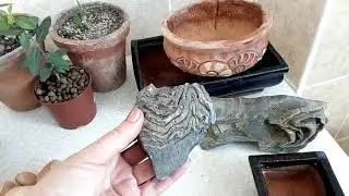 Сделай сама!!! Цветоводство с минимальными затратами!