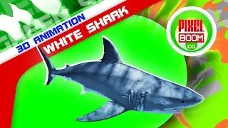 Green Screen White Shark Swim Fast Attack - PixelBoomCG