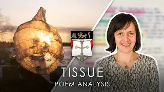 Tissue - Imtiaz Dharker - Poem Analysis - GCSE English Lit