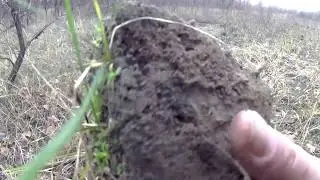 Первый КОП в 2018...