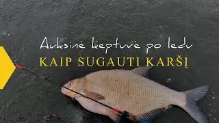 Kablys. Auksinė keptuvė po ledu arba kaip sugautį plačiašonį karšį