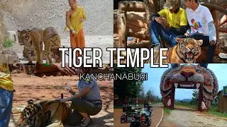 🇹🇭 Tiger Temple | Wat Pa Luangta Bua Yannasampanno | Kanchanaburi
