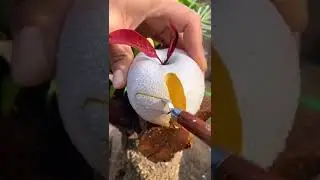🤩😱Farm Fresh Ninja Fruit | Ajoyib |Вы еще этого не видели😍#mr