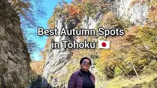 Cantiknya musim gugur di Tohoku, Jepang!