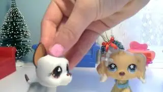 (PawProductions12) contest