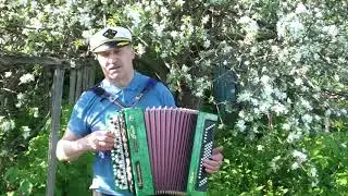 В лесу прифронтовом