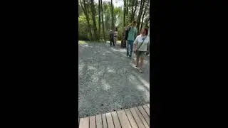 _NB_ в прямом эфире!