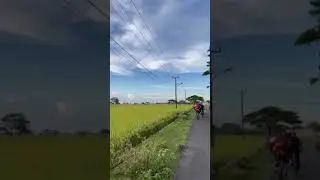 Sawah Luhur - Banten