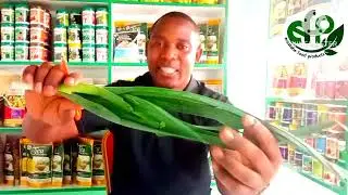 KITUNGUU YA MAAJABU KATIKA TIBA/LEEKS
