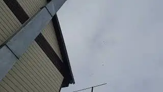 Выходные проходят нормально птица в небе 25 02 2024 г
