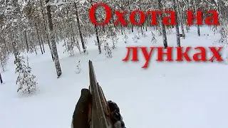 Охота на боровую дичь, на лунках