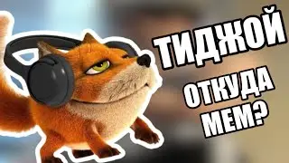 ТИДЖОЙ - ОТКУДА ВЗЯЛСЯ МЕМ?