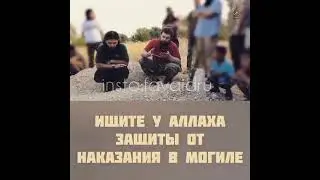 Абу Зубейр