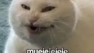 []