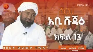 ሸርህ አቢ ሹጃዕ || ክፍል 13 || ሸይኽ ሙሐመድ ሓሚዲን || አፍሪካ ቲቪ #ፊቂህ