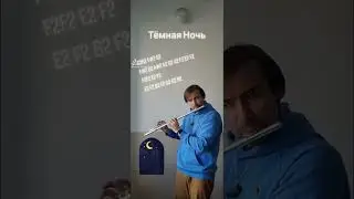 Темная Ночь на флейте