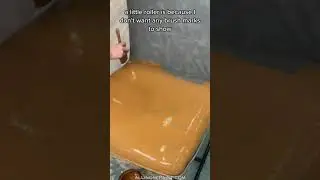 ALL-IN-ONE Paint that Paints LEATHER?!