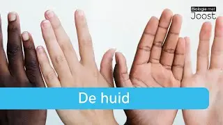 De huid | Creatief met Biologie