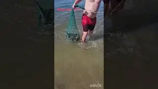 рыбалка шардара 2024