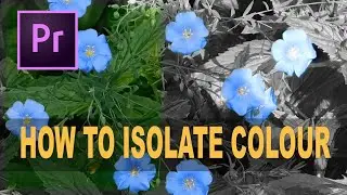 How to ISOLATE COLOUR in PREMIERE PRO CC Tutorial