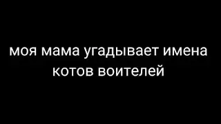 мама угадывает имена котов воителей | #1