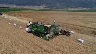 SUPROMED: Visit to the demosite in the Bekaa Valley, Lebanon,  wheat harvesting
