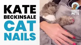 Kate Beckinsale and Her Cat Do Their Nails! 🐱💅